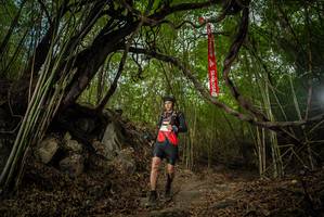 BIB: 
                            <button type="button" onclick="openModal(22177640)" class="btn btn-primary btn-sm float-right btn-popup" data-toggle="modal" data-target=".modal-high-quality">
                        <i class="fas fa-shopping-cart"></i> Add to Cart
                    </button>
                                            <button type="button" onclick="isThisMe(22177640, true)" class="btn btn-success btn-sm float-right btn-popup btn-isme hidden" data-toggle="tooltip" data-placement="bottom" title="นี่คือรูปของคุณใช่ไหม คลิกที่นี่เพื่อเอาเข้าอัลบั้ม">
                        <i class="fas fa-plus"></i> Add to album
                    </button>
                    <button type="button" onclick="isThisMe(22177640, false)" class="btn btn-warning btn-sm float-right btn-popup btn-isnotme hidden">
                        <i class="fas fa-ban"></i> Remove from album
                    </button>